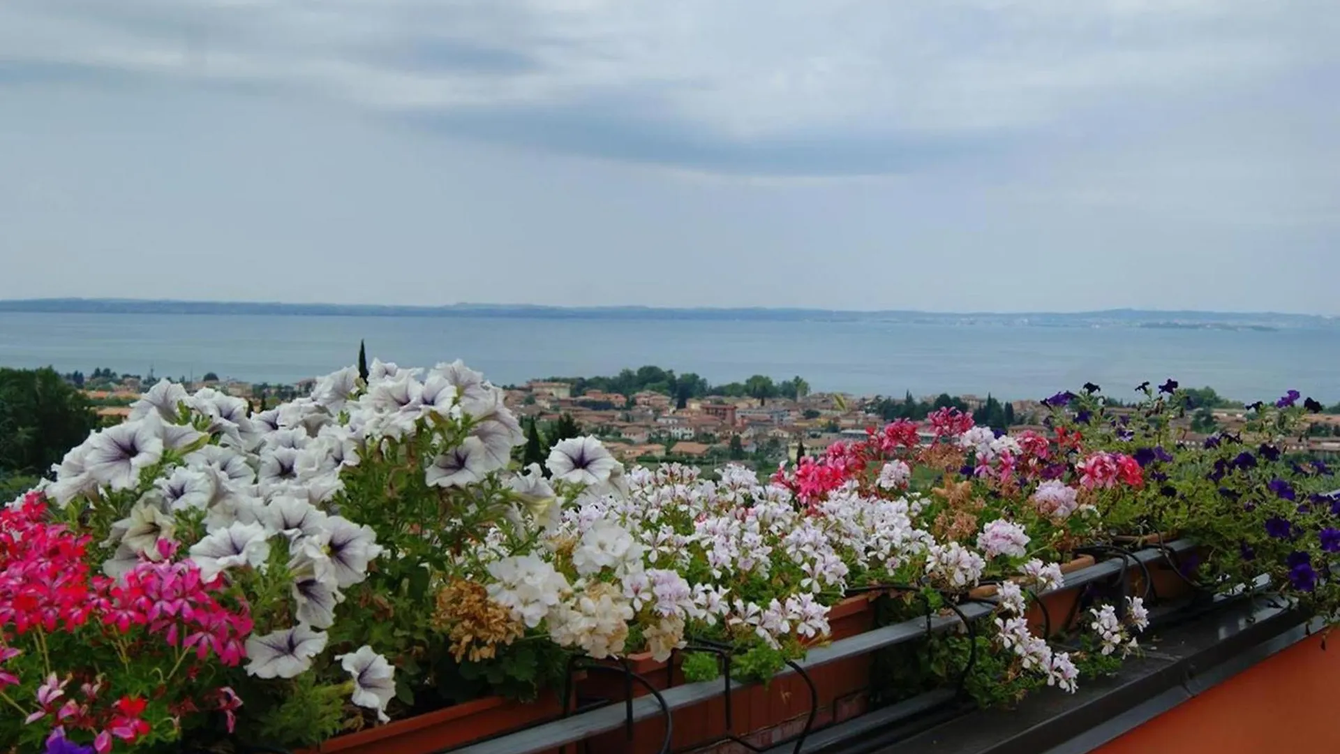 باردولينو B&B Corte Frisonai